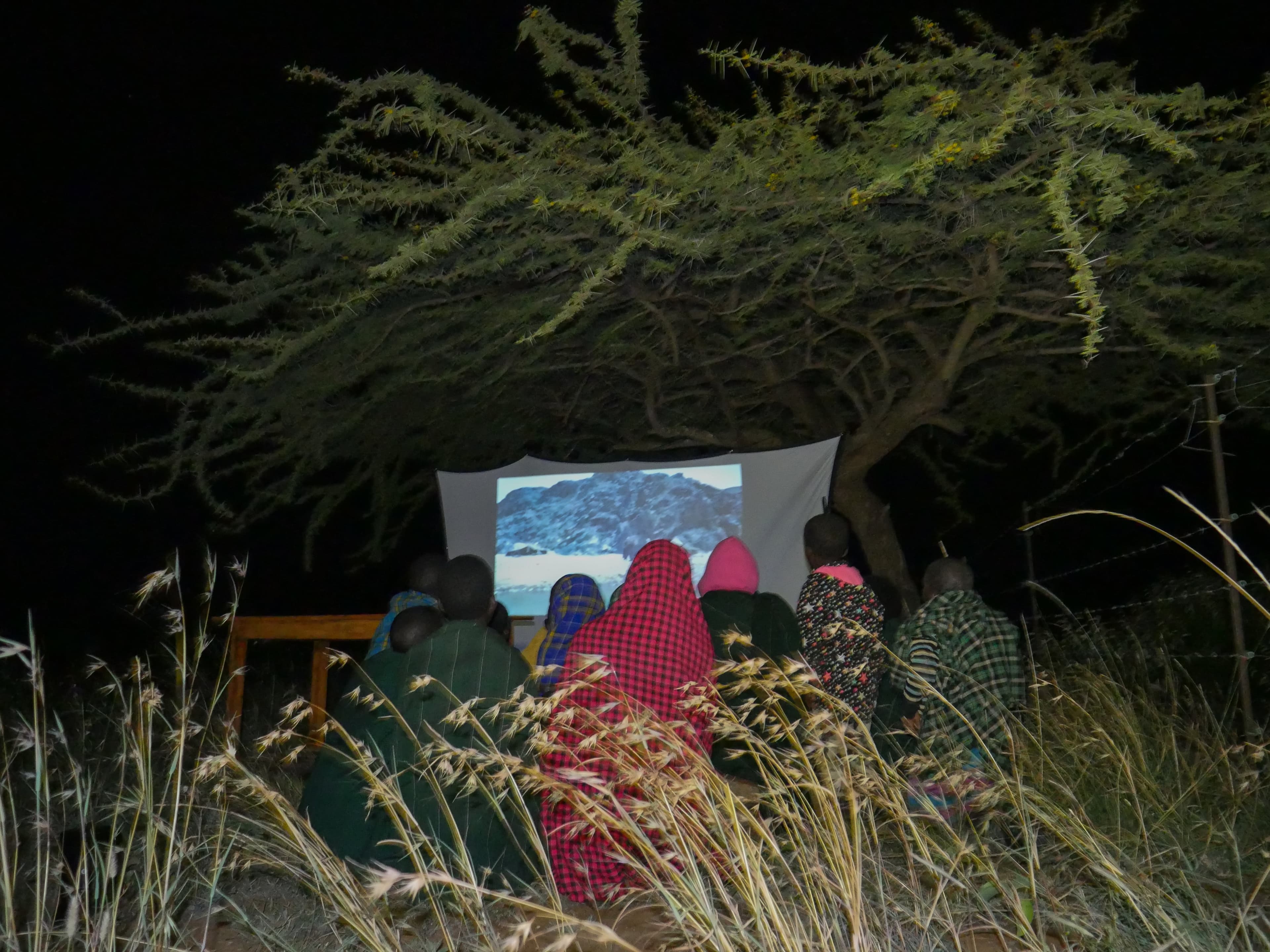 Volunteers facilitating a training session